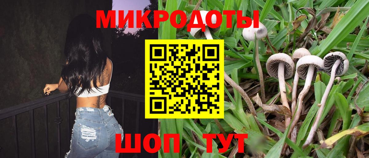 Галлюциногенные грибы Cubensis  Псилоцибиновые грибы прущие грибы  Вход с VPN  закладка  Лесозаводск 